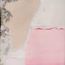 Colleen Guiney Pink Lake City