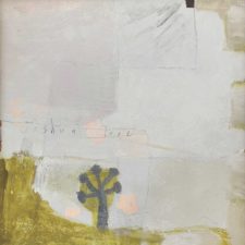 Colleen Guiney Joshua Tree