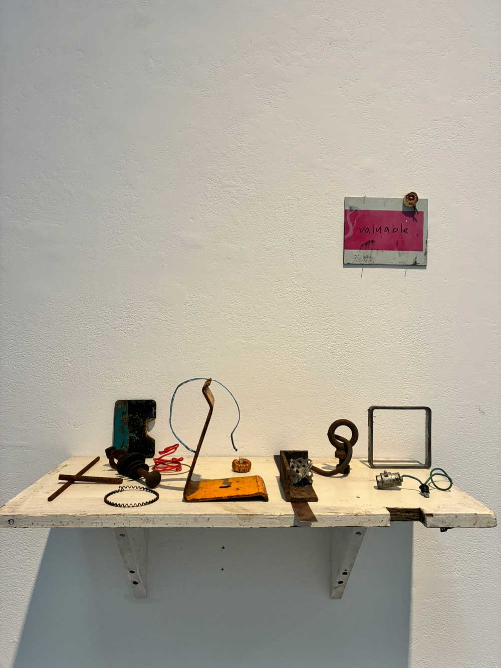 Waste and Worth project by Colleen Guiney